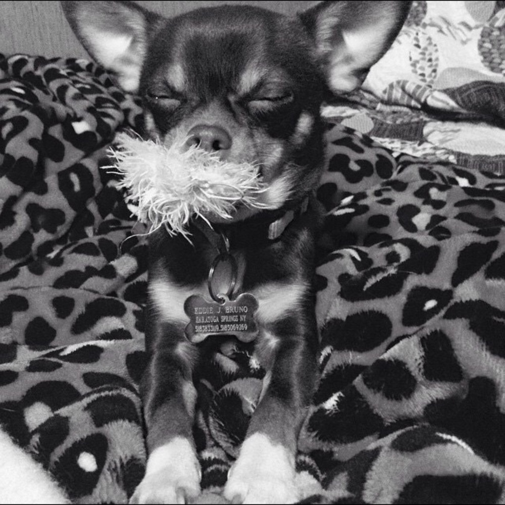 Meet your Posher, Danielle